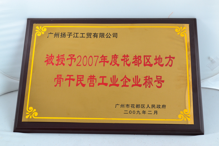 骨干民營企業(yè)稱號